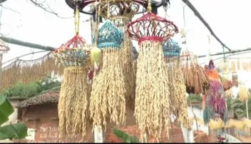 ପାରମ୍ପରିକ ବିହନକୁ ବଞ୍ଚାଇବା ପାଇଁ ପାଳିତ ହେଉଛି ‘ବିହନ ପରବ’