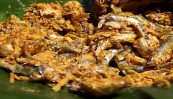 ବାଉଁଶ ମାଛ