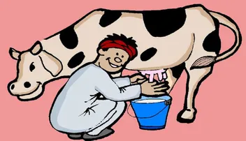 କ୍ଷୀରରେ କାହିଁକି ପାଣି ଦଉଛ ?