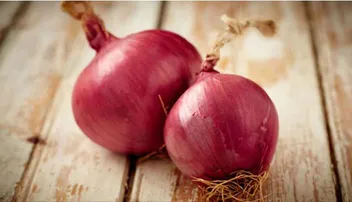 ଭଲ ରକ୍ତ ସଞ୍ଚାଳନ ପାଇଁ ଖାଆନ୍ତୁ ଏହି ୪ଟି ସୁପରଫୁଡ୍‌