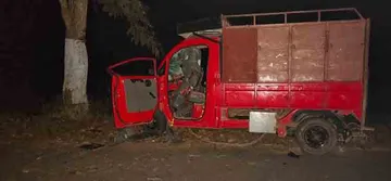 ଗଛରେ ପିଟି ହେଲା ଡାଲା ଅଟୋ