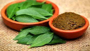 ମେହେନ୍ଦୀ ପତ୍ର ଦୂର କରିବ କିଡ୍‌ନୀ ଷ୍ଟୋନ୍ ସମସ୍ୟା