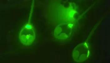 ଏମିତି ଜୀବ, ପ୍ରଶ୍ୱାସରେ ଲୋଡ଼ୁନି ଅମ୍ଲଜାନ