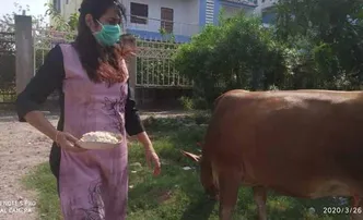 ଗାଈଗୋରୁ, ବୁଲା କୁକୁରଙ୍କୁ ଖୁଆଇଲେ ପୁଷ୍ପା ଓ ଅନୁଭା