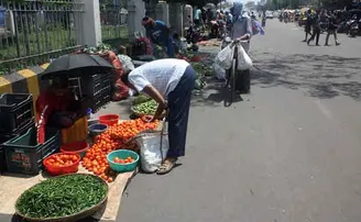 ବାଇକ୍ ନେଇ ପରିବା କିଣିଯିବା ମନା