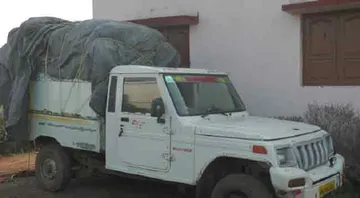 ଚୋରାଚାଲାଣ ହେଉଥିଲା, ଧରିଲା ବନ ବିଭାଗ