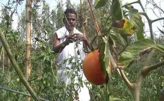 ସଫଳ ଚାଷୀ ମାଧବ ରାଓ