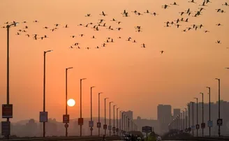 ଆସନ୍ତାକାଲି କମ୍ପ୍ୟୁଟର, ଫ୍ୟାନ୍‌ ଏବଂ ଏସି ବନ୍ଦ କରିବା ଦରକାର ନାହିଁ, ସ୍ପଷ୍ଟୀକରଣ ଦେଲେ ସରକାର