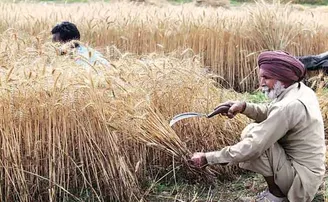 ଲକ୍‌ଡାଉନ୍‌ରେ ଆଶ୍ୱସ୍ତି ପ୍ରଦାନ କରୁଛି କୃଷି: ସରକାର