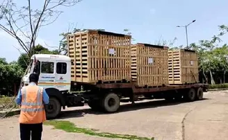 ଟ୍ରେଲର ଧକ୍କାରେ ଟ୍ରକ୍‌ ଡ୍ରାଇଭର ମୃତ