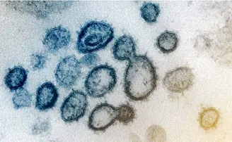 କରୋନା ଭୂତାଣୁ: ଏବେ ସଂକ୍ରମିତଙ୍କୁ ଚିହ୍ନଟ କରିବା ଆହୁରି କଷ୍ଟକର