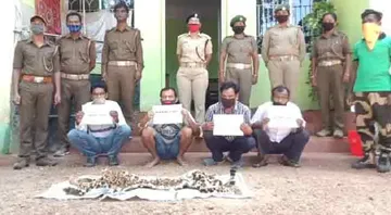 କଲରାପତରିଆ ବାଘ ଚମଡ଼ା ଜବତ; ୪ ଗିରଫ