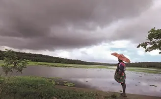 ମୌସୁମୀ ସକ୍ରିୟ, ଚାଷୀଙ୍କୁ ମିଳିନି ବିହନ