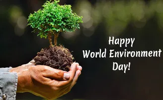 ବିଶ୍ୱ ପରିବେଶ ଦିବସ: ଜାଣନ୍ତୁ ଇନ୍ଦିରା ଗାନ୍ଧି ପ୍ରଥମେ କେଉଁ ପ୍ରସଙ୍ଗ ଉଠାଇଥିଲେ...