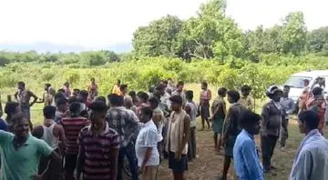 ଜଙ୍ଗଲକୁ ଯାଇଥିଲେ; ଦଳିଦେଲା ହାତୀ