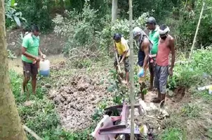 ବଡ଼ ଭାଇକୁ ମାରି ପୋତି ଦେଲେ