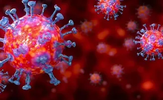 ପୌର ପରିଷଦ ଅଫିସ୍‌ରେ ପଶିଲା କରୋନା