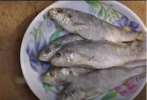 ମାଟି ହାଣ୍ଡି ଶୁଖୁଆ