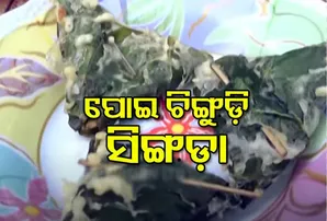 ପୋଇ ଚିଙ୍ଗୁଡ଼ି ସିଙ୍ଗଡ଼ା