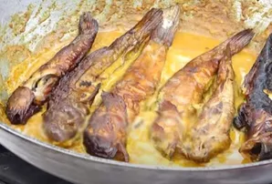 ଟୋଲ୍‌ ମାଛ ବେସର