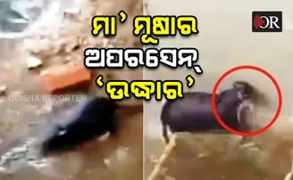 ମୁଁ ପଛେ ମରିଯାଏ, ମୋ ଛୁଆ ବଞ୍ଚିଯା’ନ୍ତୁ....