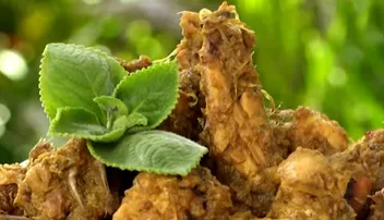 ଜୁଆଣି ପତ୍ର ଚିକେନ୍‌- A unique recipe of Ajwain leaf Chicken