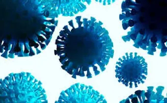 ବନ୍ଦ ହେଲା OPD , OT