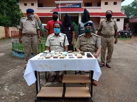 ହାତୀବାରି ଲ୍ୟାମ୍ପସରୁ ଚୋରି ଘଟଣାରେ ୨ ଗିରଫ