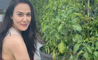 କ୍ୟାପସିକମ୍‌ ଓ ଟମାଟୋ ଚାଷ କରୁଛନ୍ତି ପ୍ରୀତି ଜିଣ୍ଟା