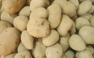 ବଜାରରେ ବିକ୍ରି ହେଉଛି ବିଷାକ୍ତ ଆଳୁ! ତାତିଲେ ବିରୋଧୀ ଦଳ ନେତା