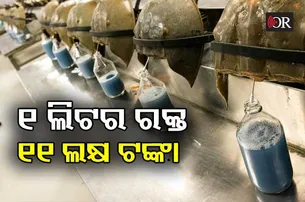 ନୀଳ ରକ୍ତରୁ ତିଆରି ହେବ କରୋନା ଟିକା‌!