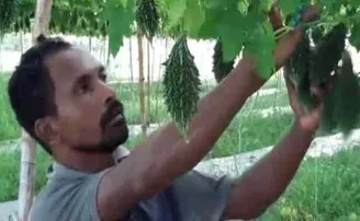 କରୋନା ଯୋଗୁ ବଦଳିଗଲା ଜୀବିକା; ଟ୍ରକ ଡ୍ରାଇଭର୍ ଏବେ ସଫଳ ଚାଷୀ