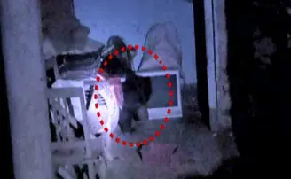 ଘରେ ପଶିଲା ଭାଲୁ