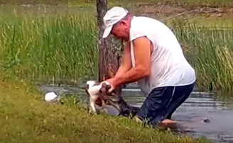 କୁମ୍ଭୀର ମୁହଁରୁ ପୋଷା କୁକୁରକୁ ଛଡ଼ାଇ ଆଣିଲା ମାଲିକ