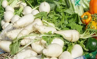 ଶୀତରେ ପ୍ରତିଦିନ ଖାଆନ୍ତୁ ମୂଳା