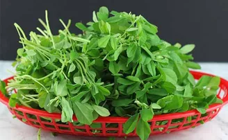 ହୃଦରୋଗୀଙ୍କ ପାଇଁ ହିତକର ମେଥି ଶାଗ