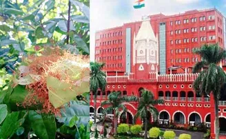 କାଇରୁ ଆବିଷ୍କାର ହେଲା କରୋନା ଔଷଧ, ମାନ୍ୟତା ପାଇଁ ହାଇକୋର୍ଟରେ ଆବେଦନ