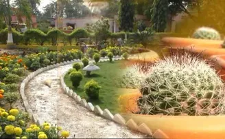 ସ୍କୁଲ ନା ଭବ୍ୟ ଉଦ୍ୟାନ! ଥରେ ଦେଖିଲେ ଆଖି ଲାଗିଯିବ