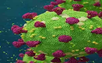 ୨୫ ଜିଲ୍ଲାରୁ ଚିହ୍ନଟ ହେଲେ ୩୬୪ କରୋନା ଆକ୍ରାନ୍ତ