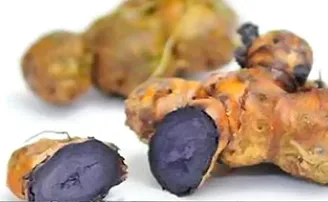 କ୍ୟାନସର୍ ଓ ଆସ୍ଥମା ଦୂର କରିବ କଳା ହଳଦୀ