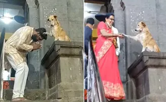 ମନ୍ଦିର ବାହାରେ ଭକ୍ତକୁ ଆଶୀର୍ବାଦ ଦେଉଛି କୁକୁର