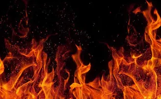 ବଟାନିକାଲ୍ ଗାର୍ଡେନରେ ଲାଗିଲା ନିଆଁ