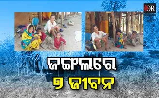ଜଙ୍ଗଲରେ ସାତ ଜୀବନ