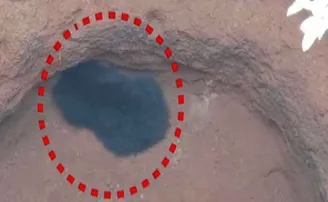 ଗାଁ ମୁହାଁ ହୋଇଥିଲା ଭାଲୁ, ଶୁଖିଲା କୂଅରେ ପଡ଼ିଲା