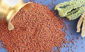 ମିଲେଟ୍‌ ମିଶନ ପ୍ରଶଂସାର ଅନ୍ତରାଳେ...