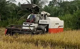 ଅଭିନବ ଉପାୟରେ କୃଷି ସବ୍‌ସିଡି ହରିଲୁଟ୍, କୋଟି କୋଟି ଟଙ୍କାର ଘୋଟାଲା!