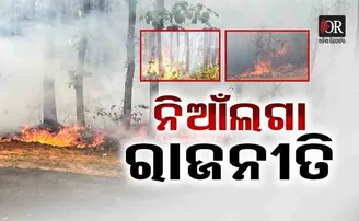 ନିଆଁଲଗା ରାଜନୀତି