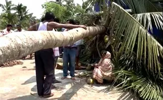 ପାରାଦୀପ, କୁଜଙ୍ଗ, ଏରସମା ଅଞ୍ଚଳରେ କାଳବୈଶାଖୀର ତାଣ୍ଡବ