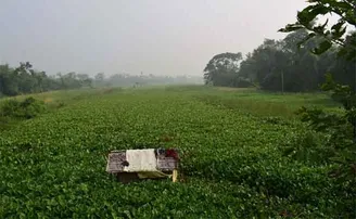 ଶୁକପାଇକା – ଏକ ମୃତ ନଦୀକୁ ଜୀବନ୍ତ କରିବା ଲାଗି ଜନପ୍ରୟାସ