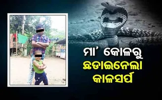 କଳା ଅନ୍ଧାରରେ ଦଂଶିଦେଲା  କାଳସର୍ପ